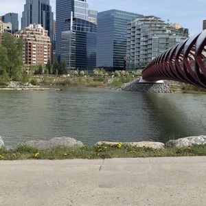 Meet your Posher, Mujtaba